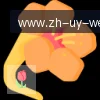 问鼎娱乐 logo